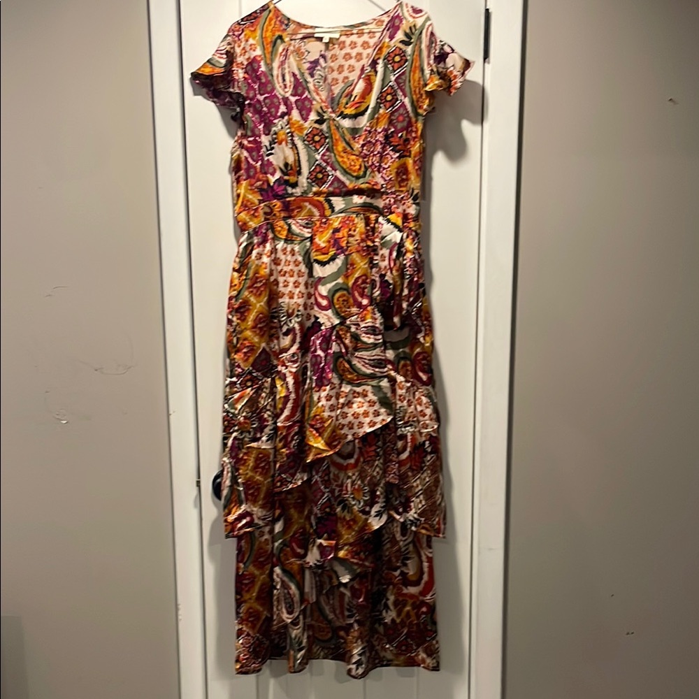 Multicolor Paisley Print Women's Dress
